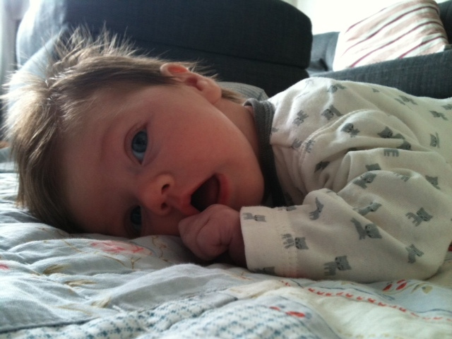 Frankie den 15.7.2011