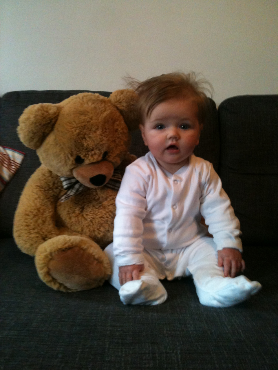 Frankie november 2011